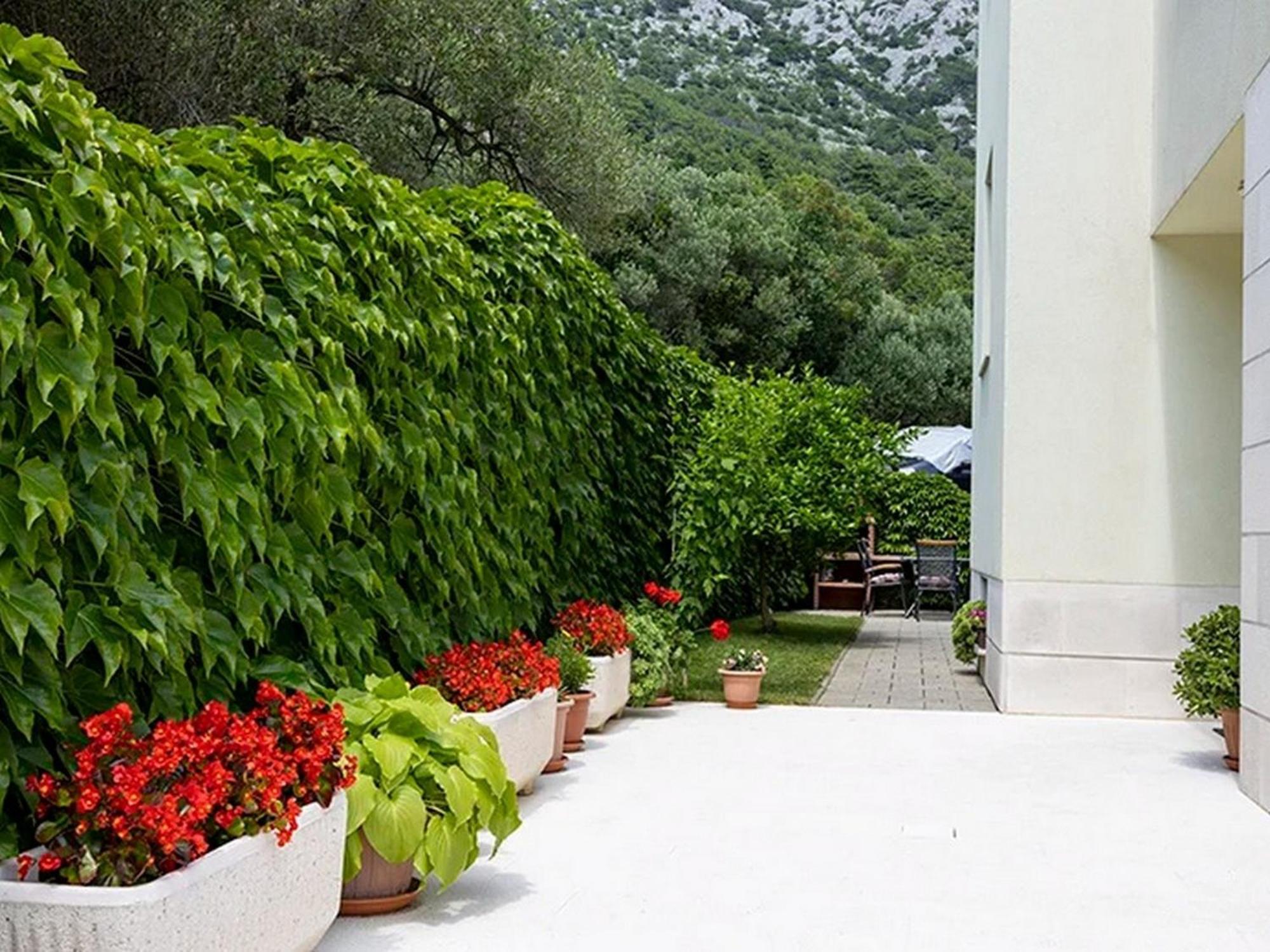 Apartments By The Sea Igrane, Makarska - 17292 Ngoại thất bức ảnh